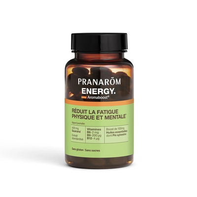 PRANAROM ENERGY